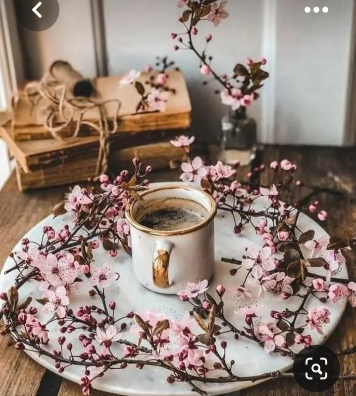 Screenshot_20230603_221817_Pinterest