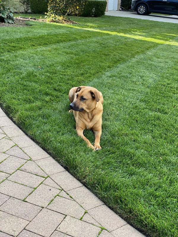 FF2A72E2-8E55-4239-82E9-9D19A1D3C32A