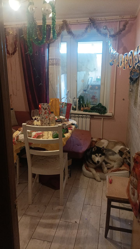 IMG-20240102-WA0160.jpg