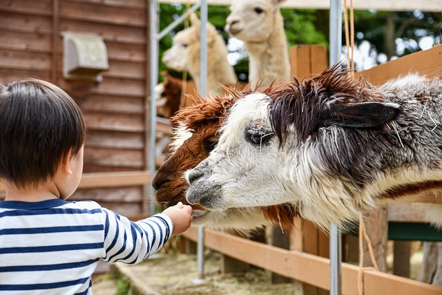 The Best Petting Zoos Around the World