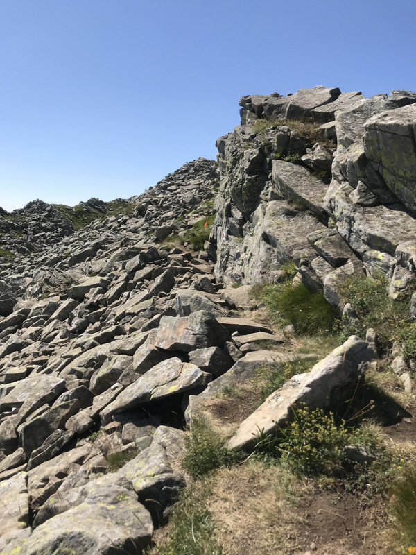 F933DE46-EC37-4AB8-8668-4129B57B23A3