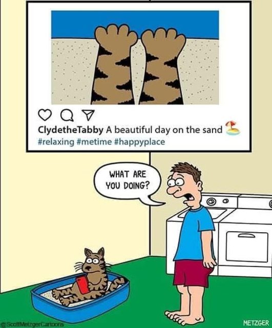 sand