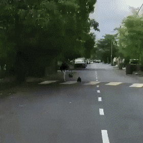 daily-gifdump-3275-05.gif