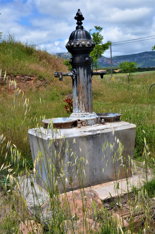 LOS BARRIOS DE BUREBA-23-6-2013-BURGOS - Paseando por España-1991/2016 (10)