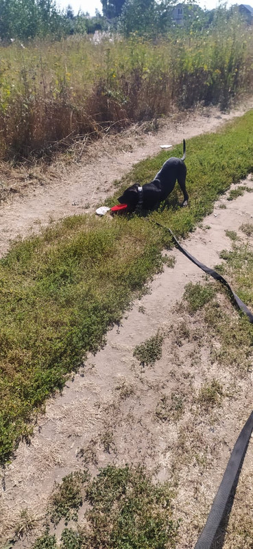 9B41DDC0-C438-4248-9460-3A5CC03A3F1D