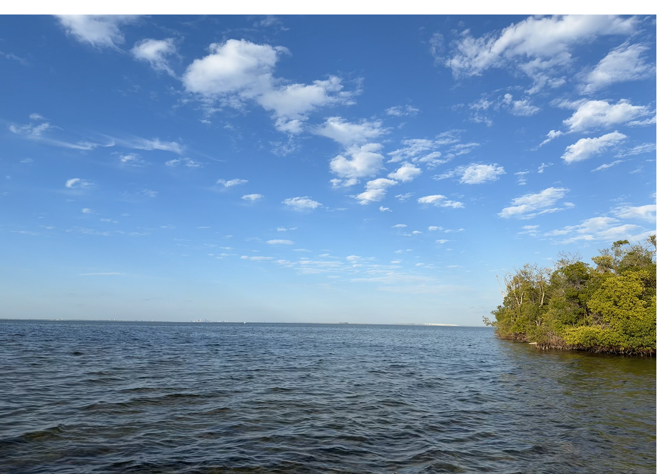 [Image: Tampa-Bay-From-The-E-G-Simmons-Conservation-Park.png]