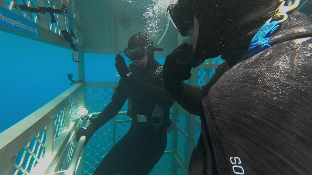 [Image: 4lr1hz5m2dsi.jpg]