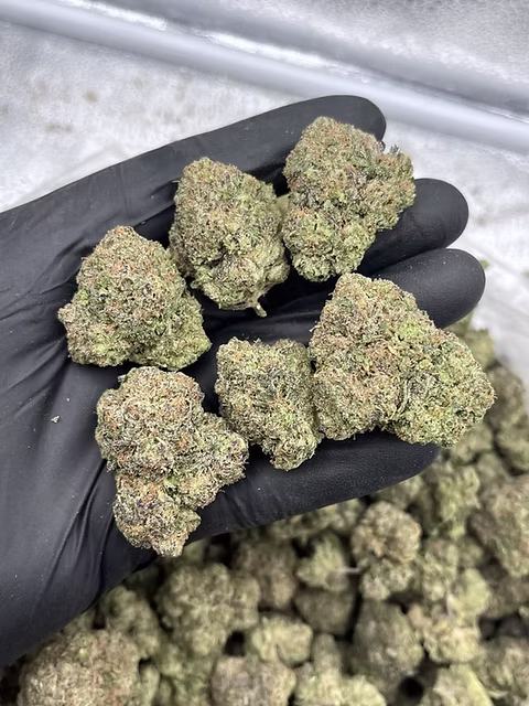 VVS Rocks Candy Apple Runtz – 69%+ THC Designer Indoor Hybrid Flower