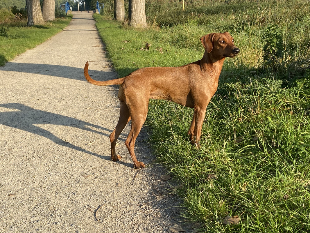 D0E5D9F7-2E34-41B3-AF5E-1B2CA946AAB2