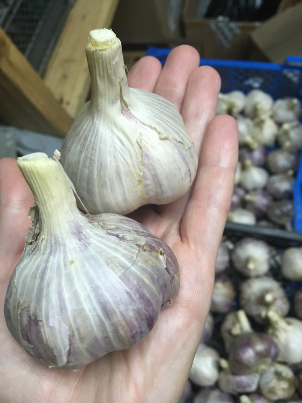 26199427-334E-464C-A801-93AE57236B06