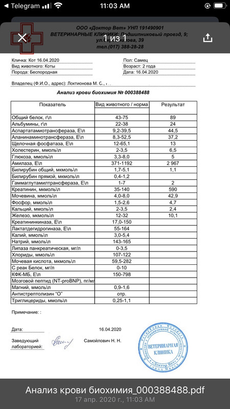 9F81480D-B615-4D6E-BC45-5D223C45B176