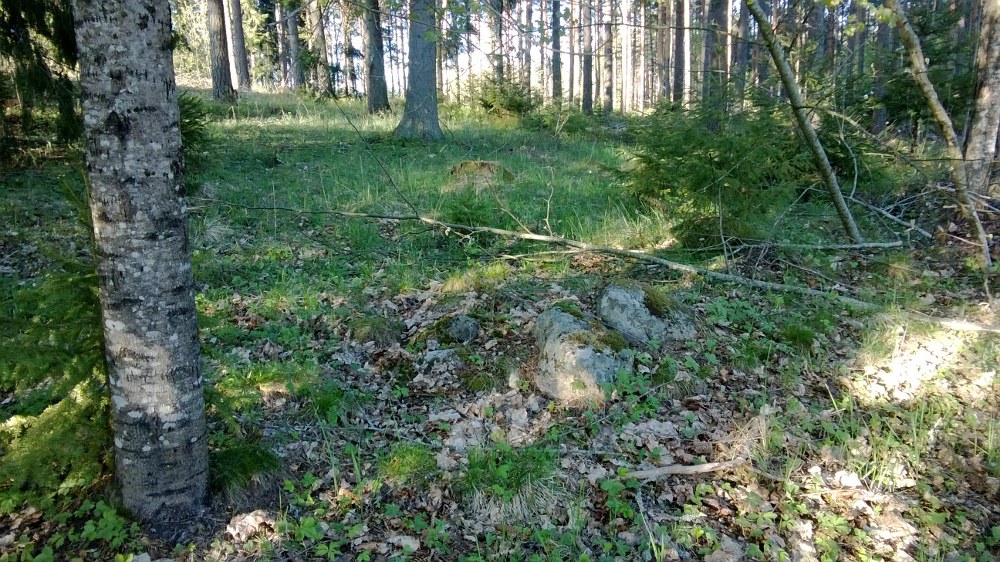 WP_20140517_001