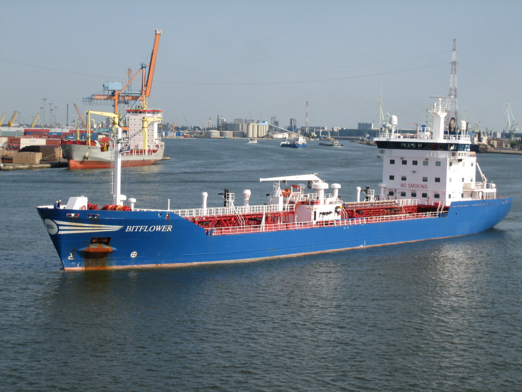 Bitflower @ Antwerpen 2007 (1)