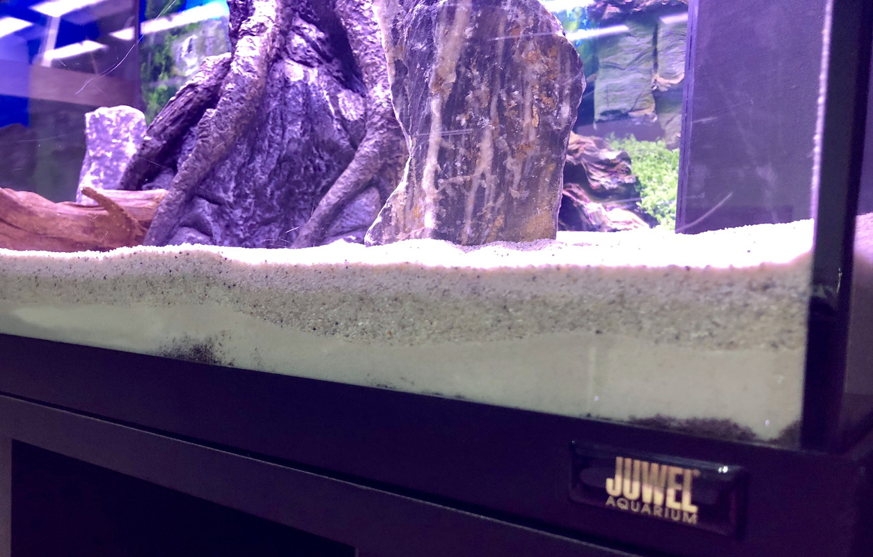 DC9C74A6-ACB9-43A3-A695-BF0C7C941636