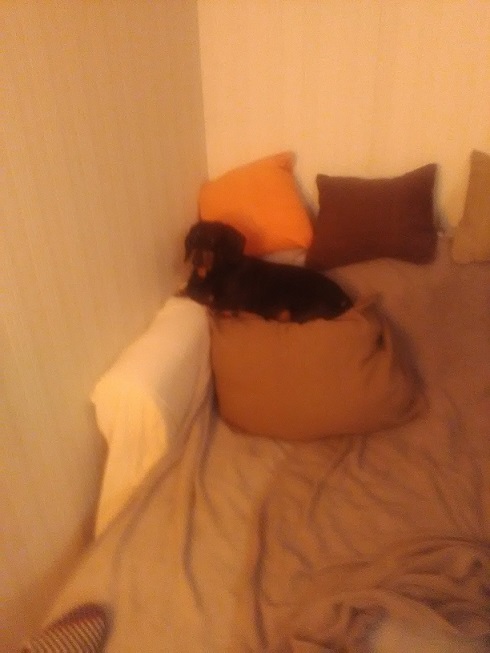 [Image: IMG-20230207-204229.jpg]