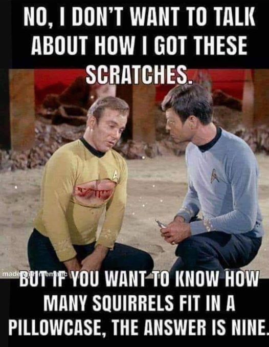 [Image: star-trek.jpg]