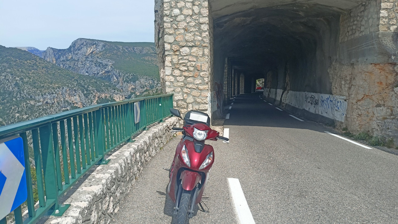 IMG20250804145050 (Large)