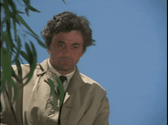 GIF-20240701-181929-655.gif