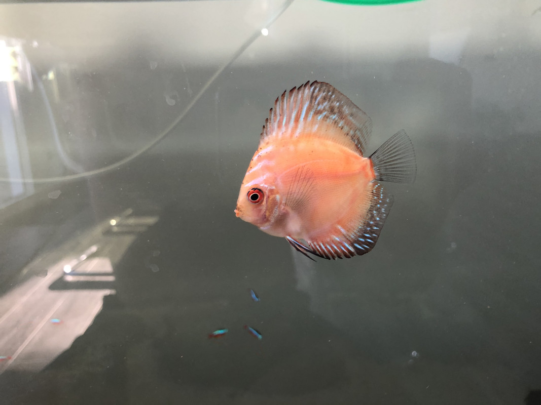 81D3F847-258E-46B7-B35E-CCC5F9403FF1