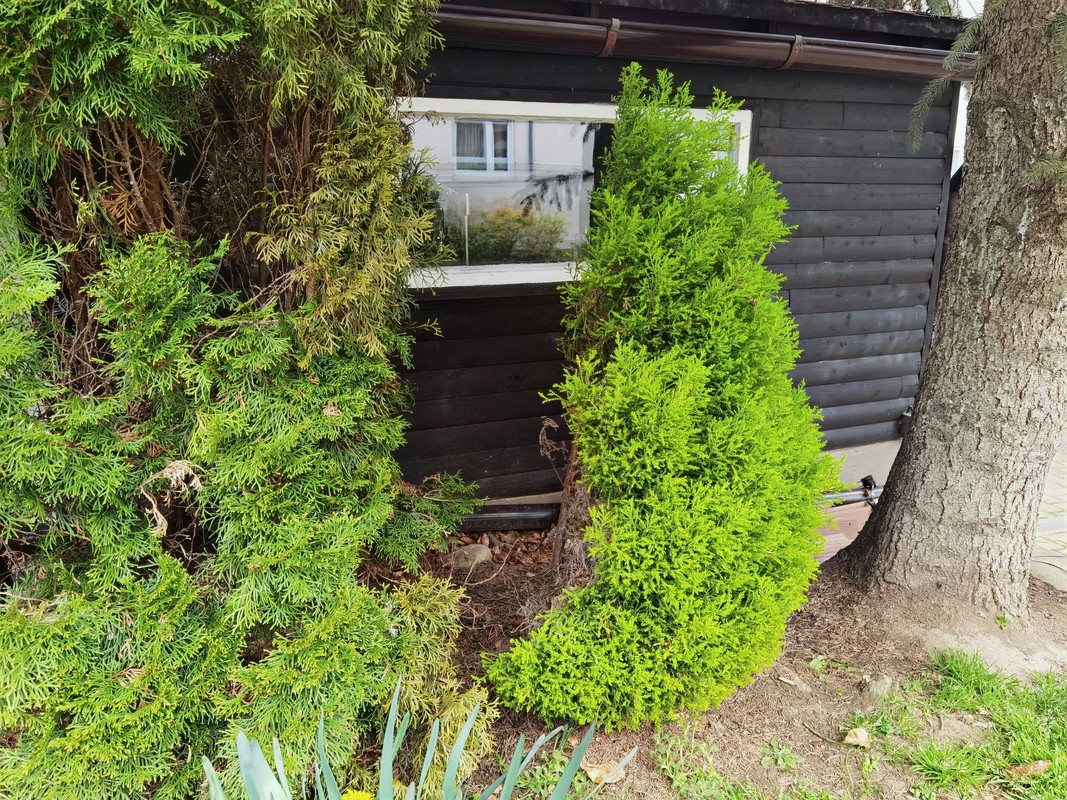 IMG_20230422_120412_edit_571214998927941