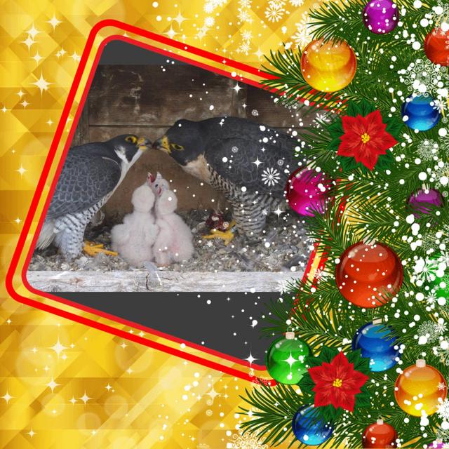 ED8E6EFC-F041-43C3-BDA6-C28A49706812