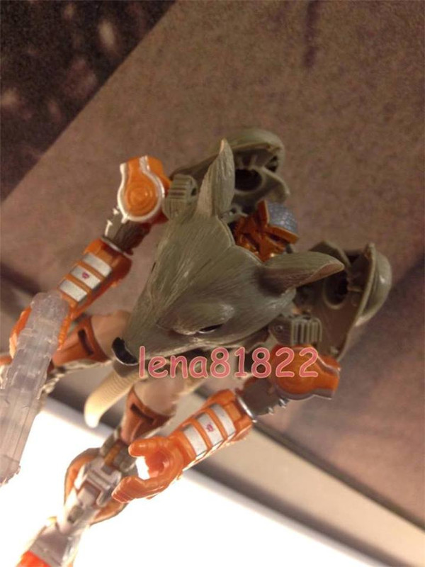 1558513_629386910481055_7278803104928951139_n