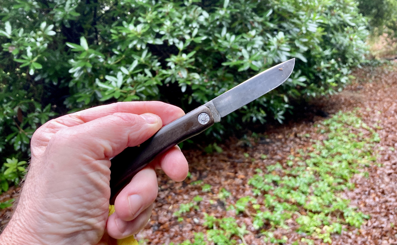 ABEF2E79-5D1A-4500-BB97-3CE5C21497C0