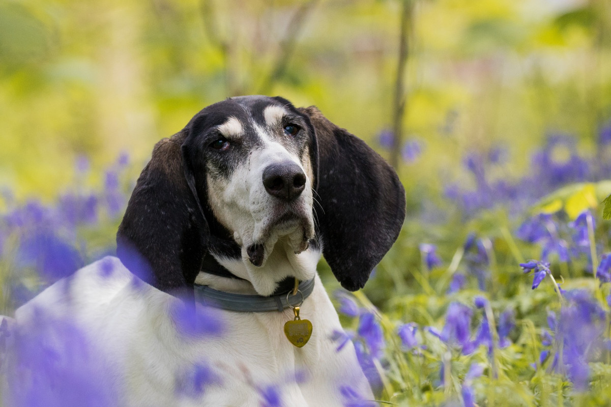 4F79CCF1-277C-4C0B-96FA-35DFEACCC9FA