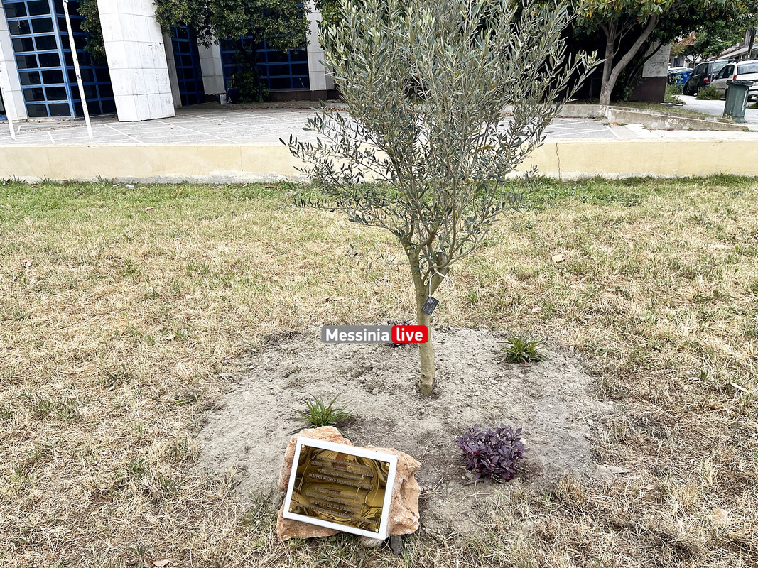 ΔΙΚΗΓimage00002