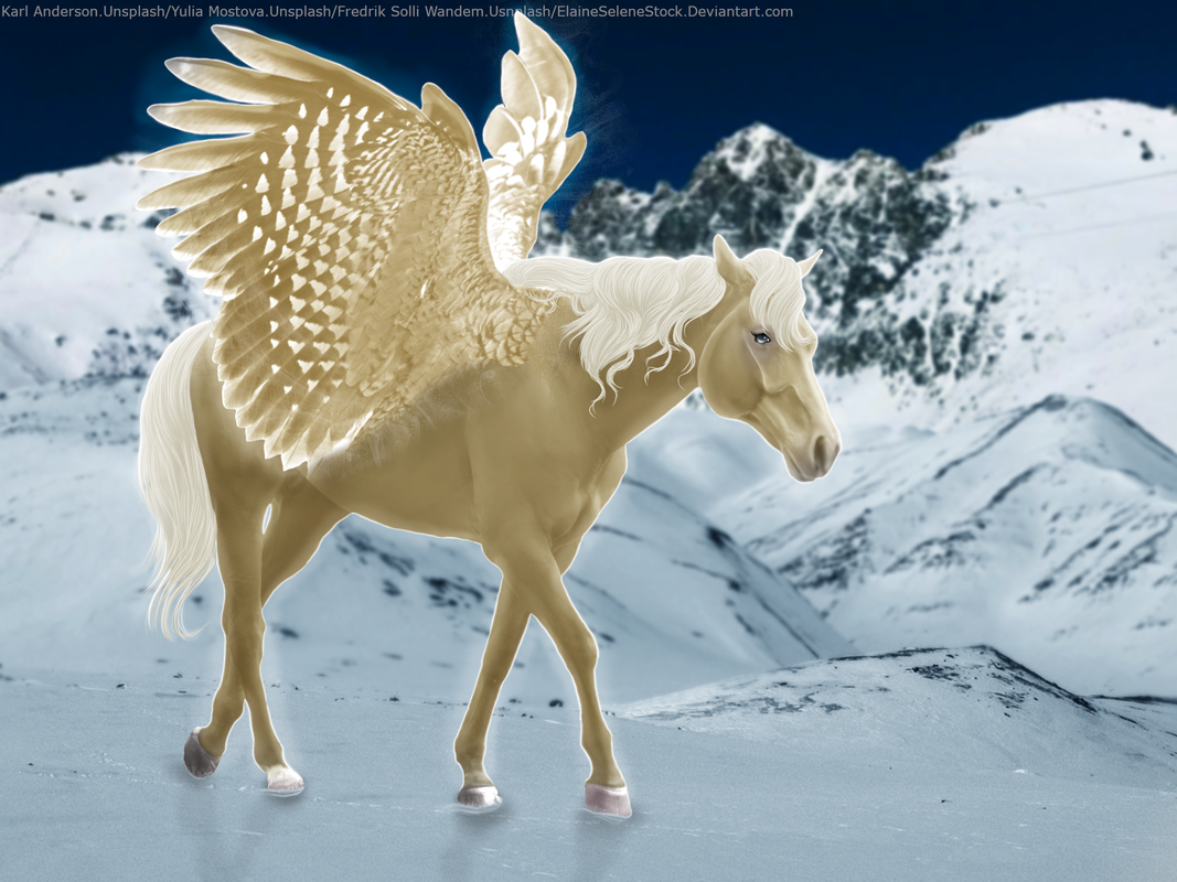 IMG-0596.png