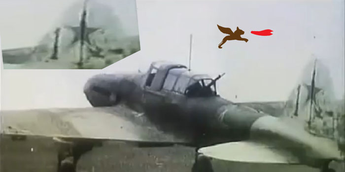 wt-3