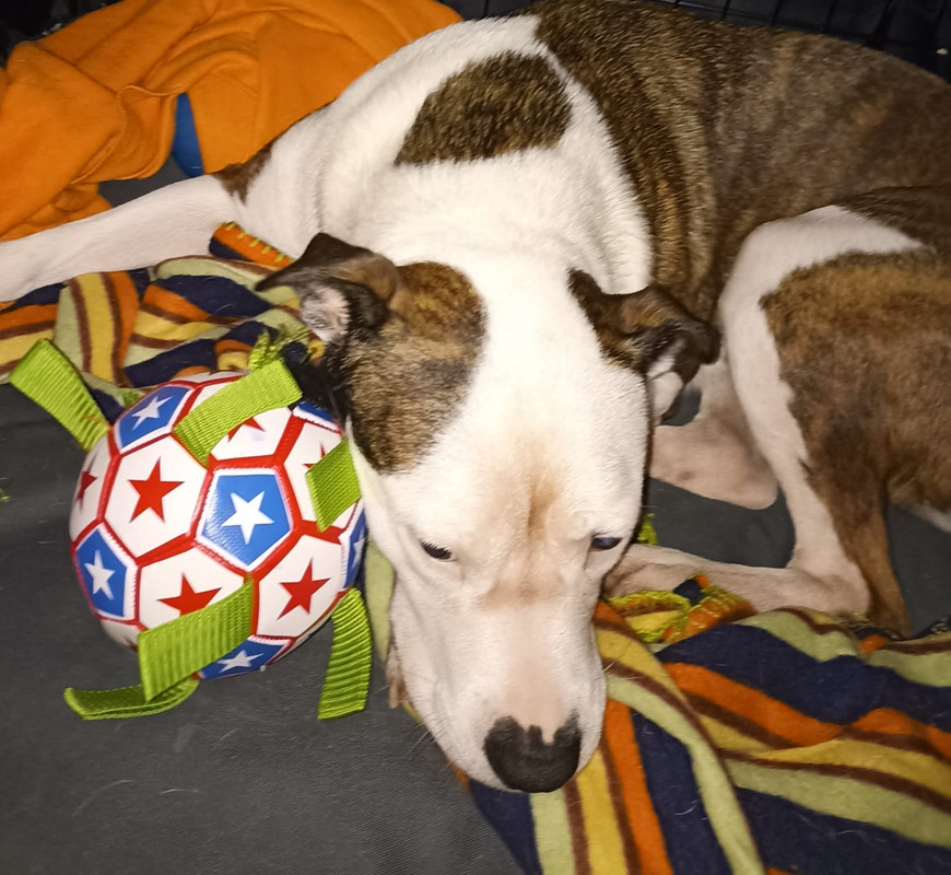 229E502A-604E-44CB-98AA-F7FAF75DD529