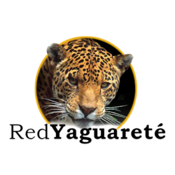Logo 7