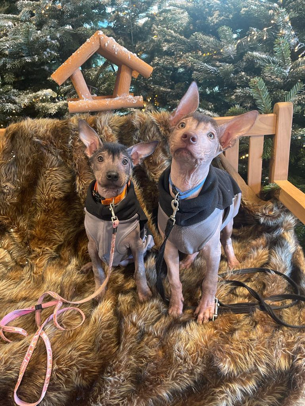 76058650-4F85-44FA-8AD8-0DA000E131A7