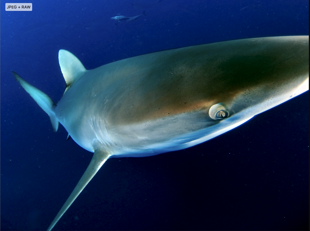 Screenshot 2025 11 29 at 9 54 16 PM