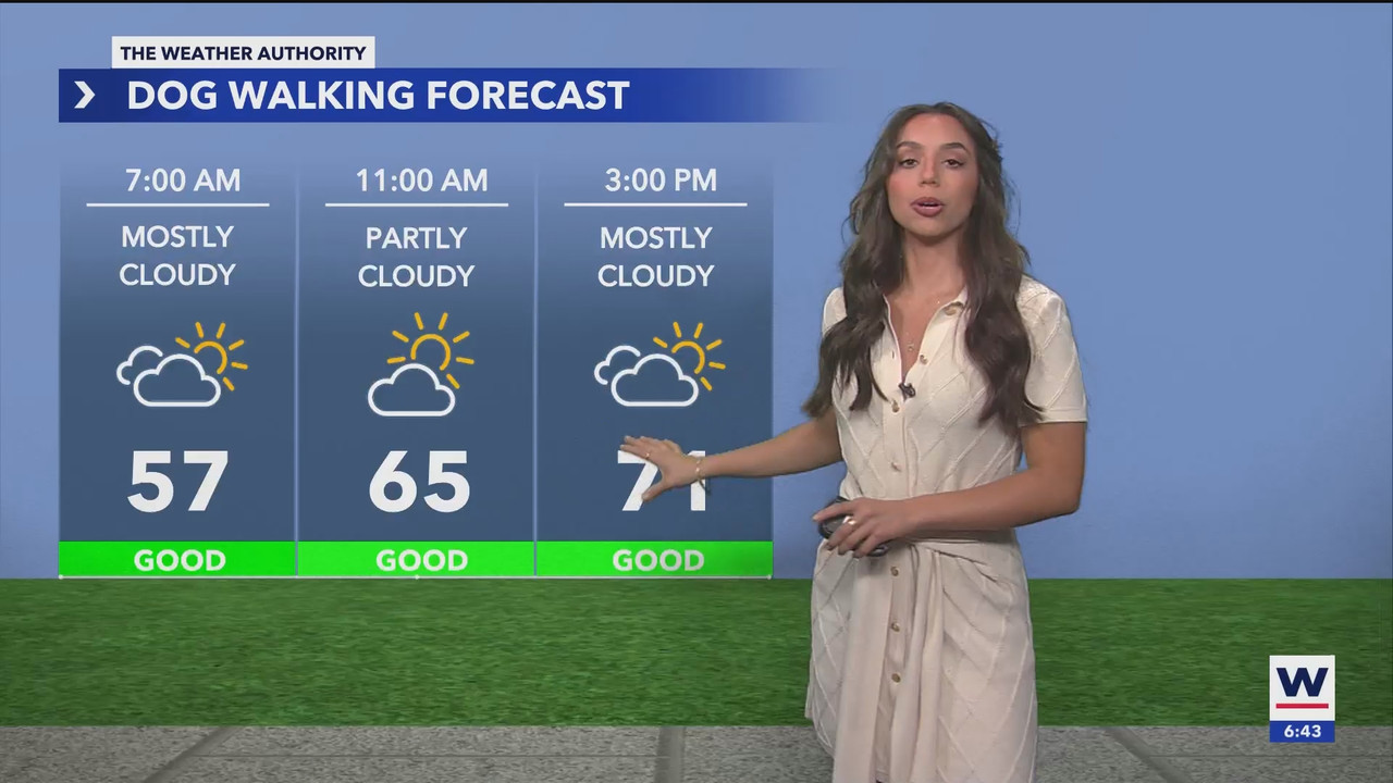 WINK NEWS at 600am Saturday_20241130_11001200.ts_snapshot_00.44.12.415