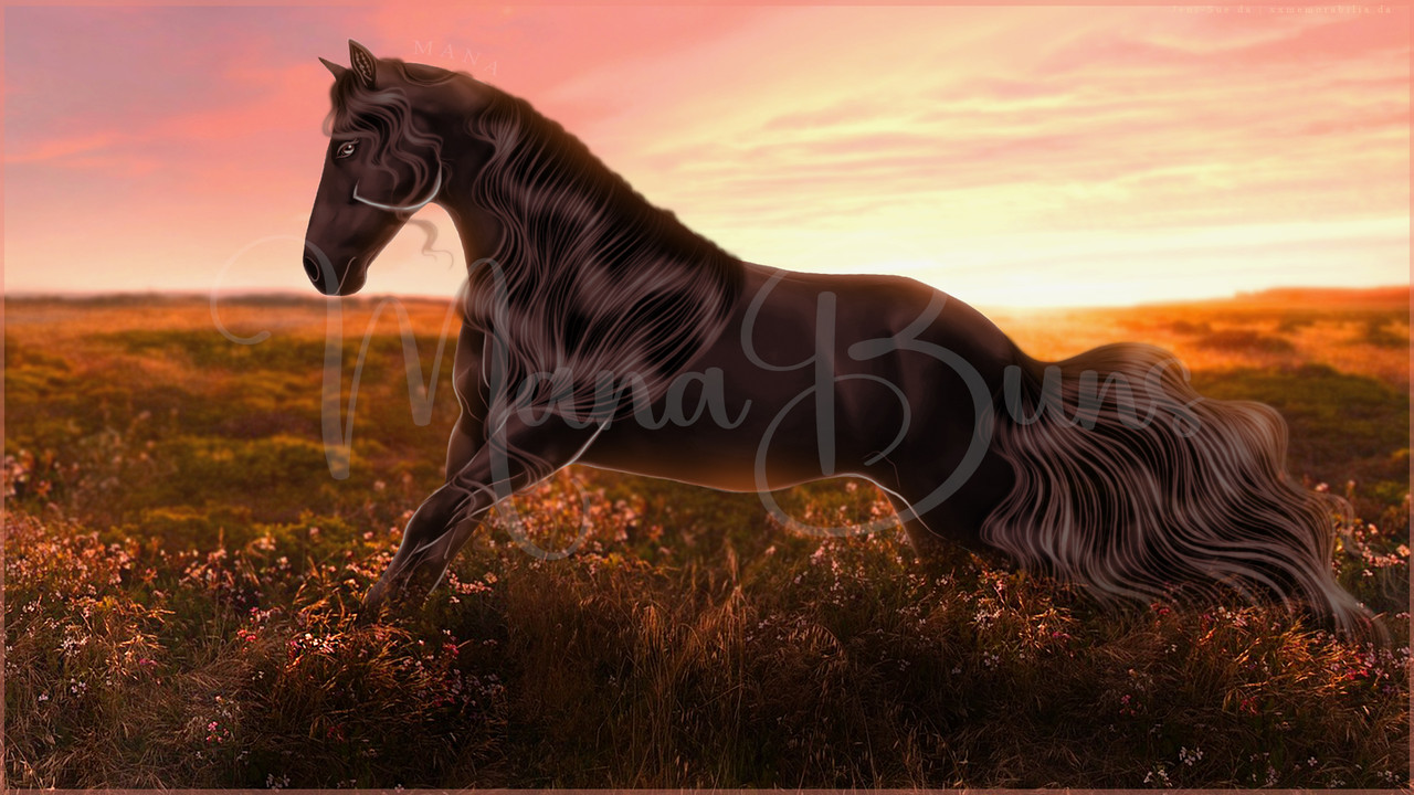 Sunset-Gallop-WIP