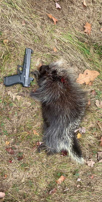 FD5CF1E3-29F6-41C8-9C1A-7C5691577116