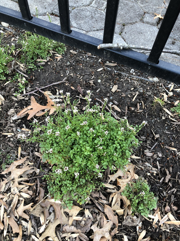 2DF281F1-57A4-4FD7-9BA6-4F993FB90546