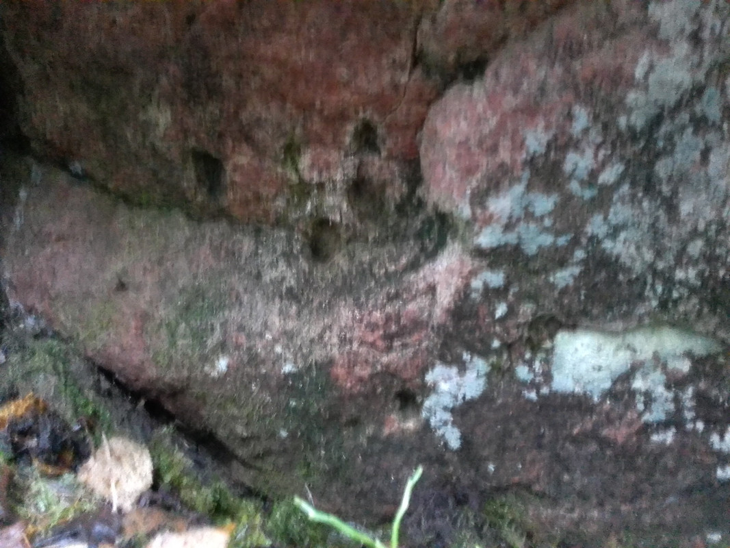 20151112_105129