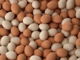 Почему растет экспорт украинских яиц