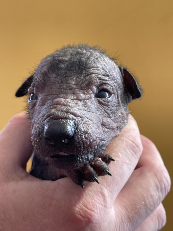 5EB57E28-D74C-4B22-8ABB-12150E4B0241