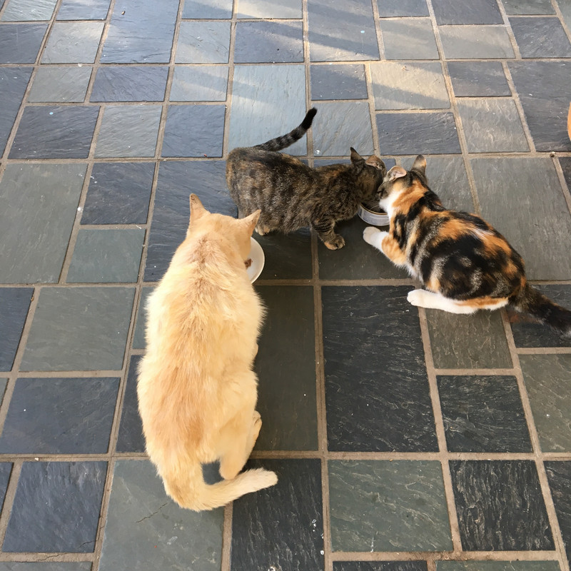 58889656387__FB0148C8-F5C0-4247-A90A-7A832963C097