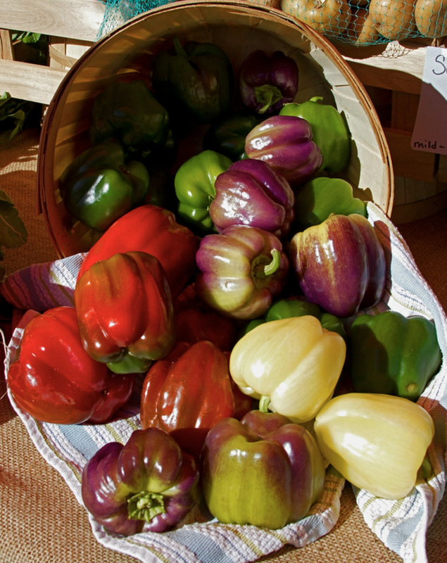 multi-peppers-sunjpg.jpg