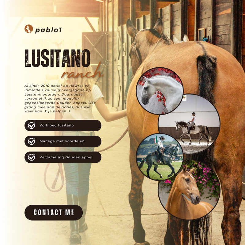 Brown-Modern-Horse-Riding-Instagram-Post-1.png