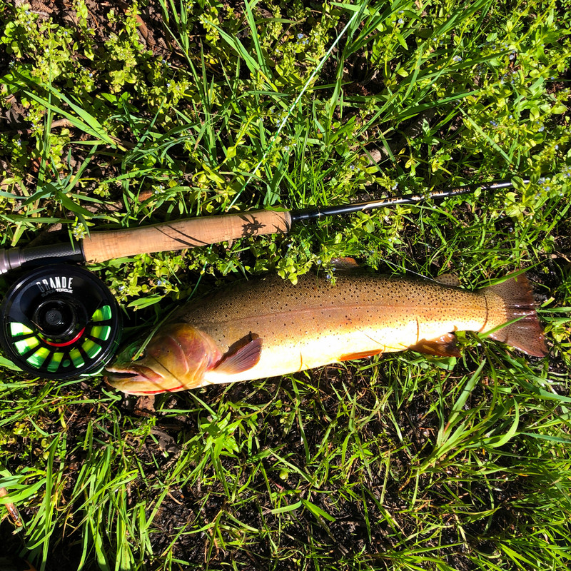 83ABD335-1D10-4437-8D61-46FD85DB22A9