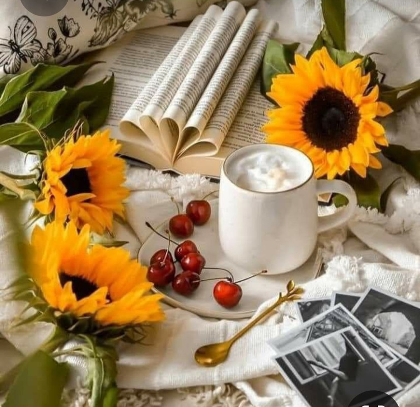 Screenshot_20230413_232909_Pinterest