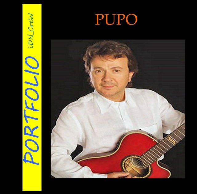 Pupo Portfolio 2015 iDN_CreW