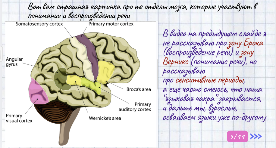 Описание