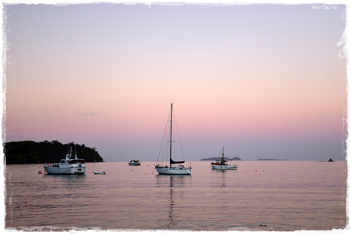 Stewart Island:  kiwis, Coast to Coast y unos días en Oban (febrero 2021) - Escapadas y rutas por la Nueva Zelanda menos conocida (53)